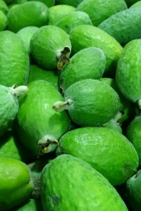 A kiwi favourite